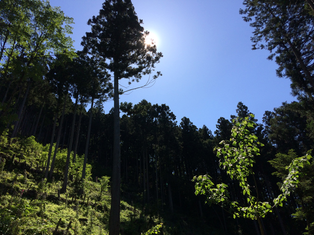 f:id:vt-maguna:20180710101846j:plain