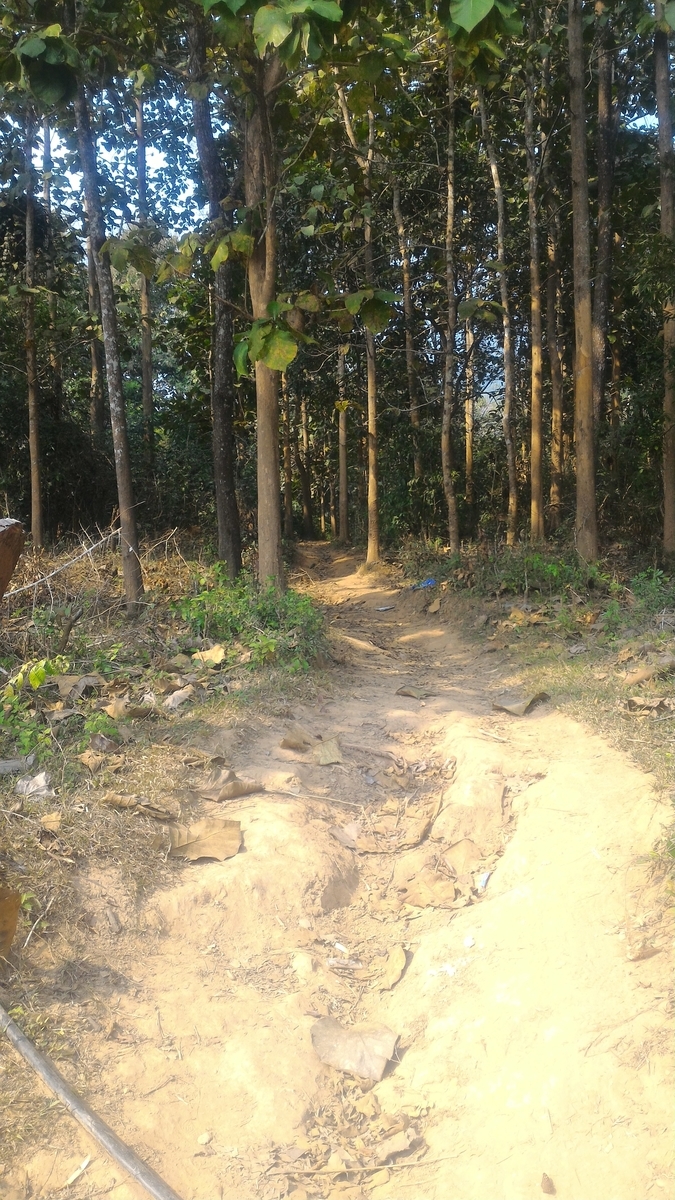f:id:vte2019lao:20190930234546j:plain