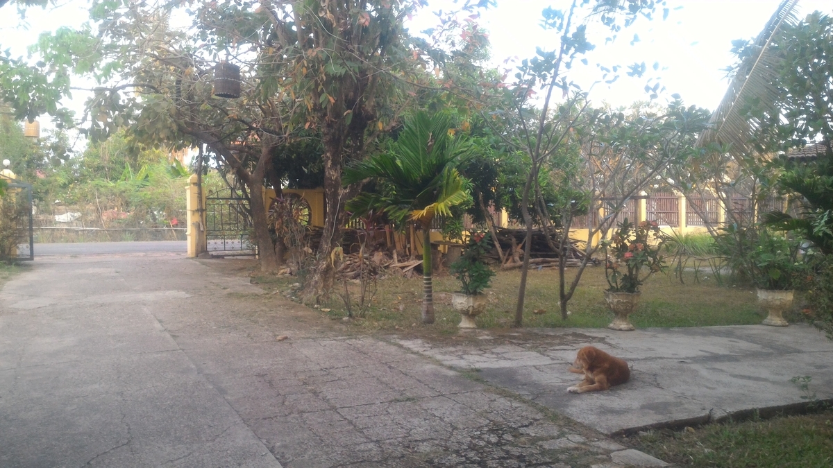 f:id:vte2019lao:20201010234333j:plain f:id:vte2019lao:20201010234333j:plain