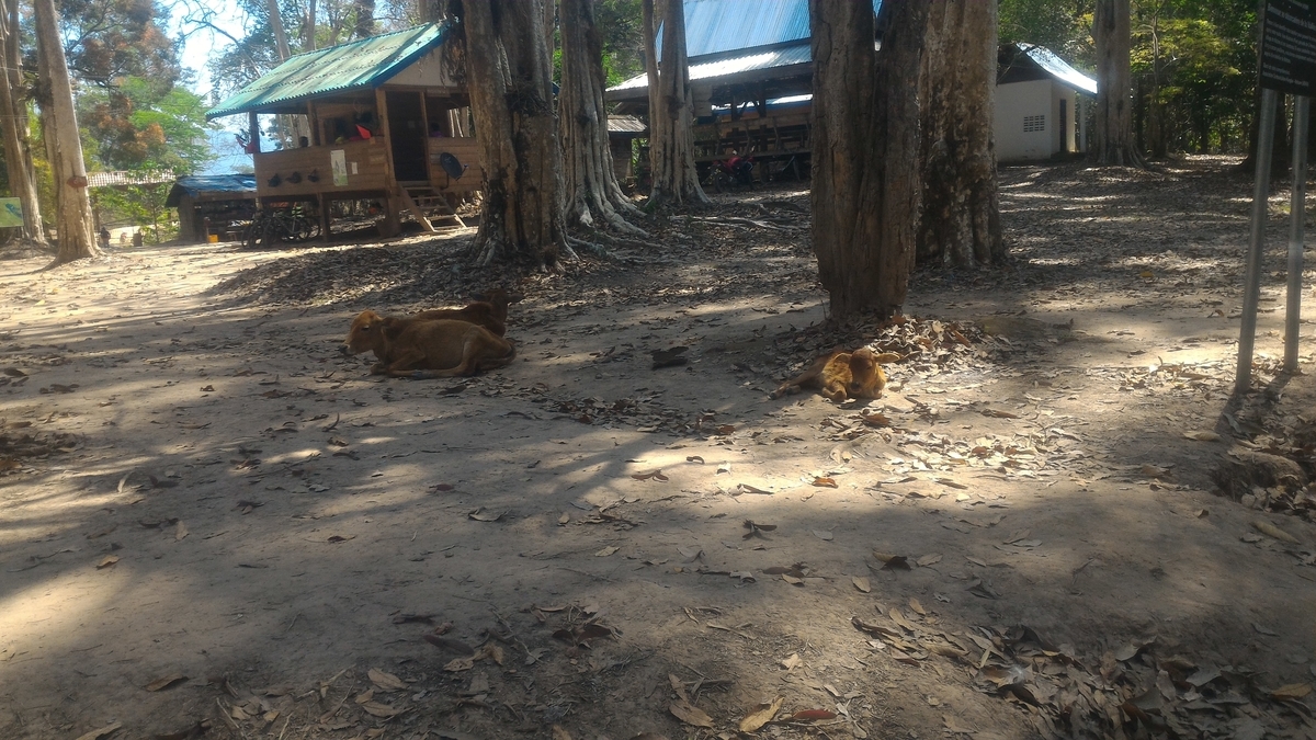 f:id:vte2019lao:20201020050518j:plain f:id:vte2019lao:20201020050518j:plain