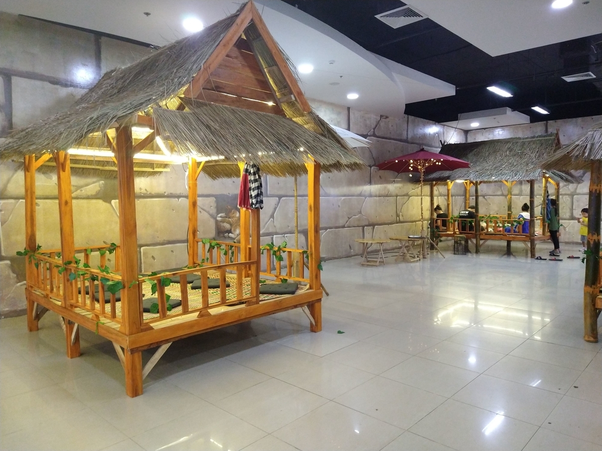 f:id:vte2019lao:20201204003301j:plain