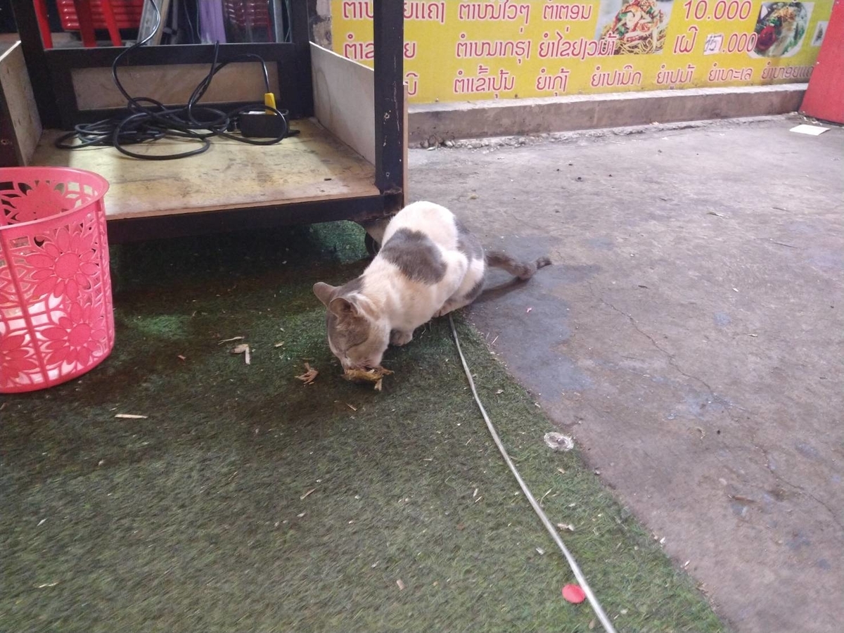 f:id:vte2019lao:20210305010535j:plain