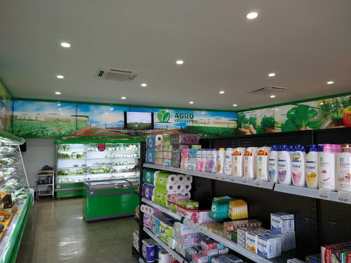 f:id:vte2019lao:20210622225729j:plain