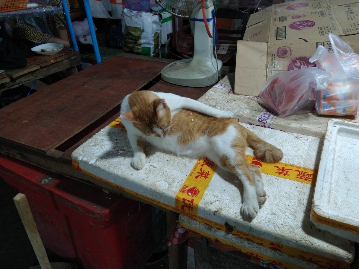f:id:vte2019lao:20211031231826j:plain