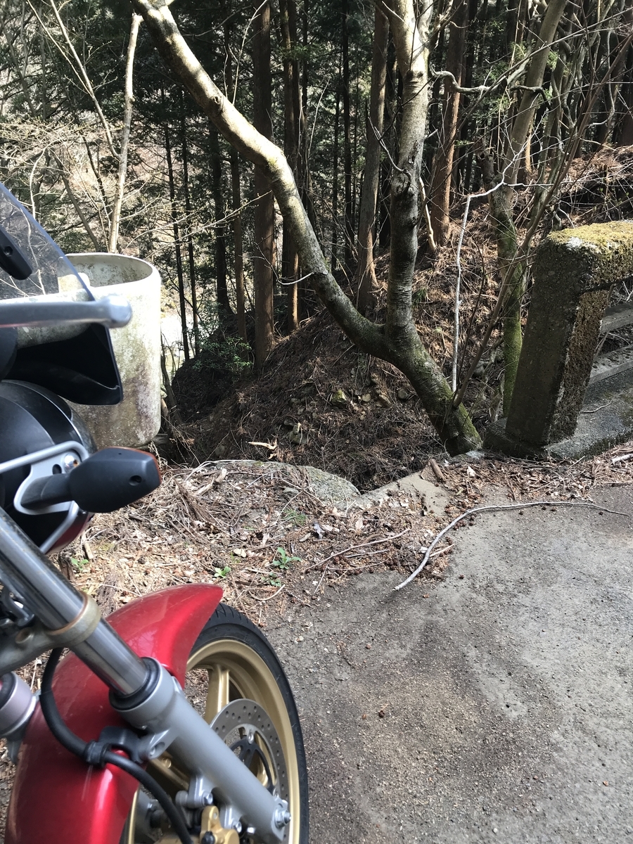 f:id:vtryo:20190330190237j:plain:w320 f:id:vtryo:20190330190237j:plain:w320