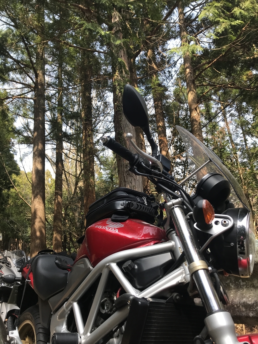 f:id:vtryo:20190330190302j:plain:w320 f:id:vtryo:20190330190302j:plain:w320