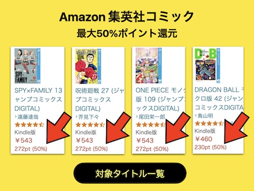 富士急ハイランド フリーパス 1枚 淡い