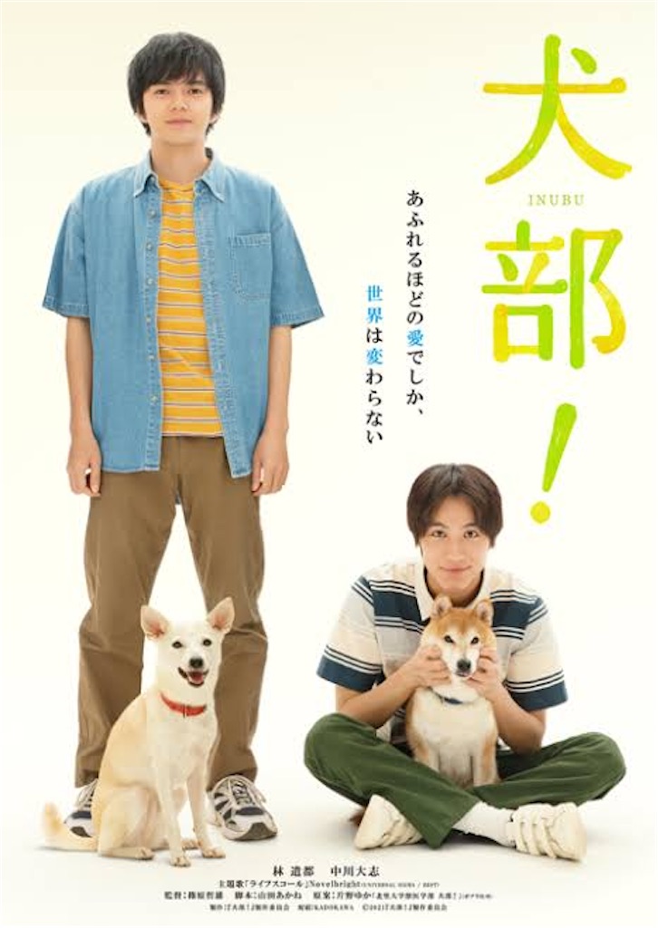 f:id:vvvuuu:20210710200606j:image