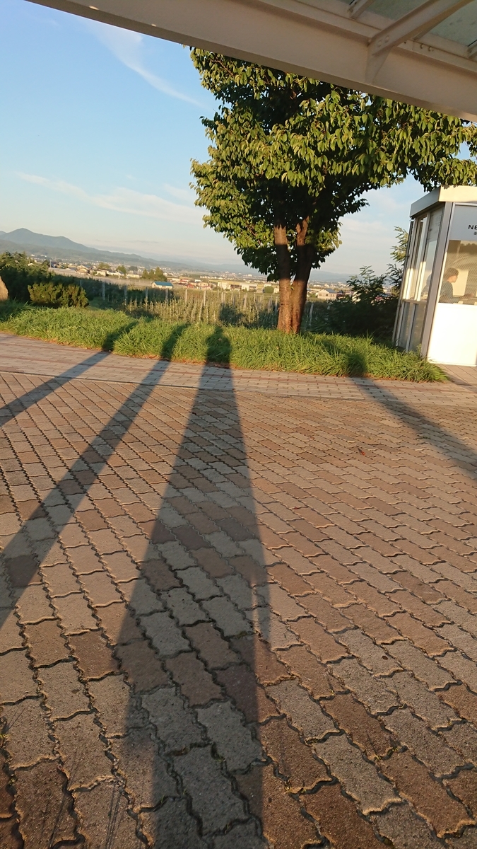 f:id:vvzuzuvv:20190917084516j:plain