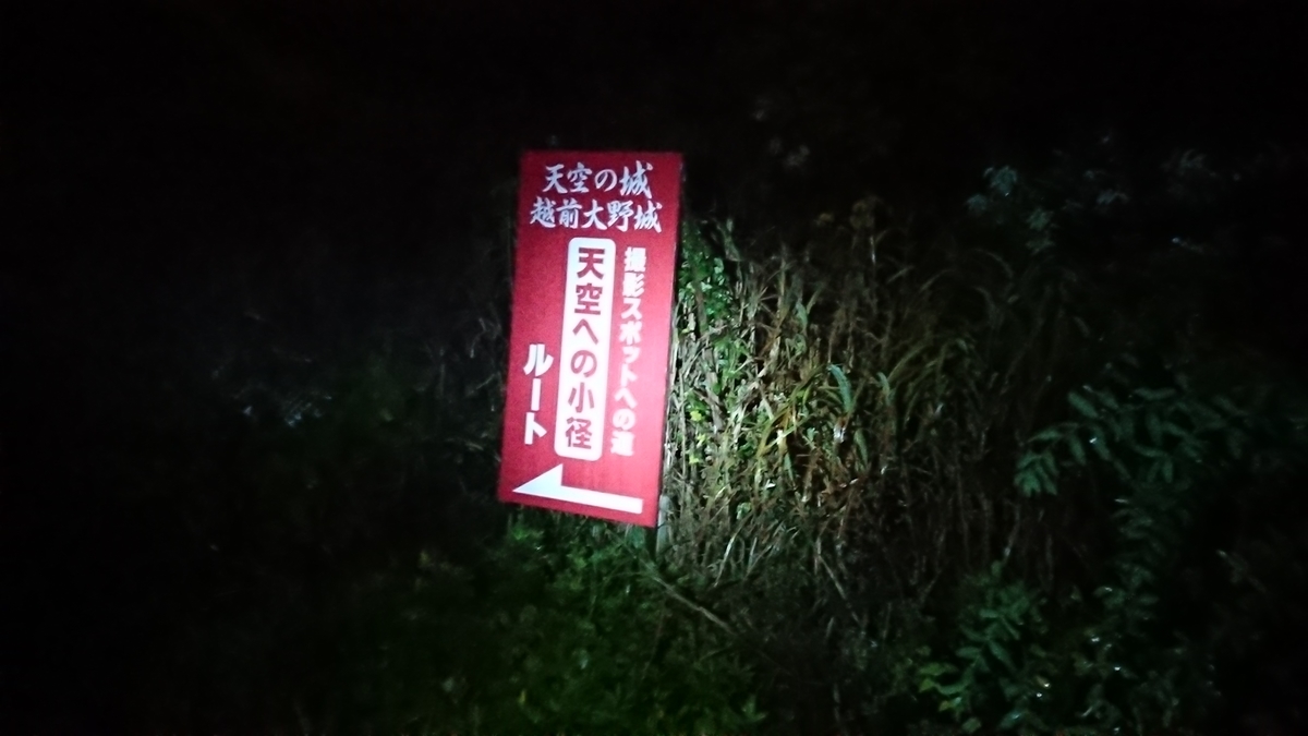 f:id:vvzuzuvv:20191118091114j:plain