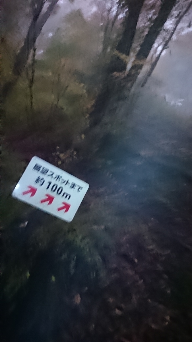 f:id:vvzuzuvv:20191118091449j:plain