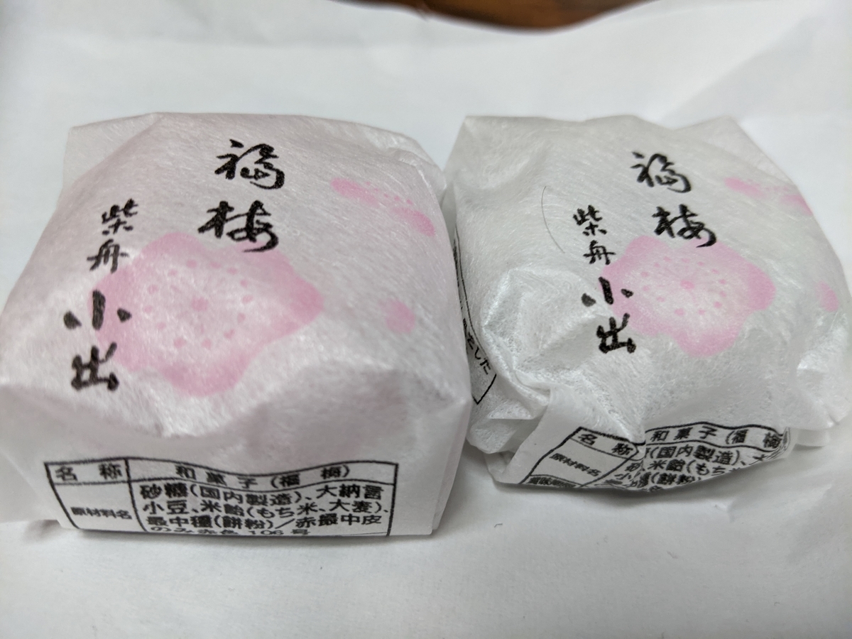 f:id:vvzuzuvv:20220102224023j:plain