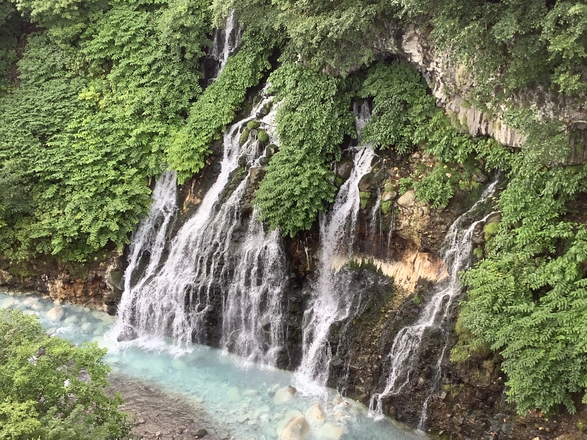 f:id:vwanko:20200803135731j:plain