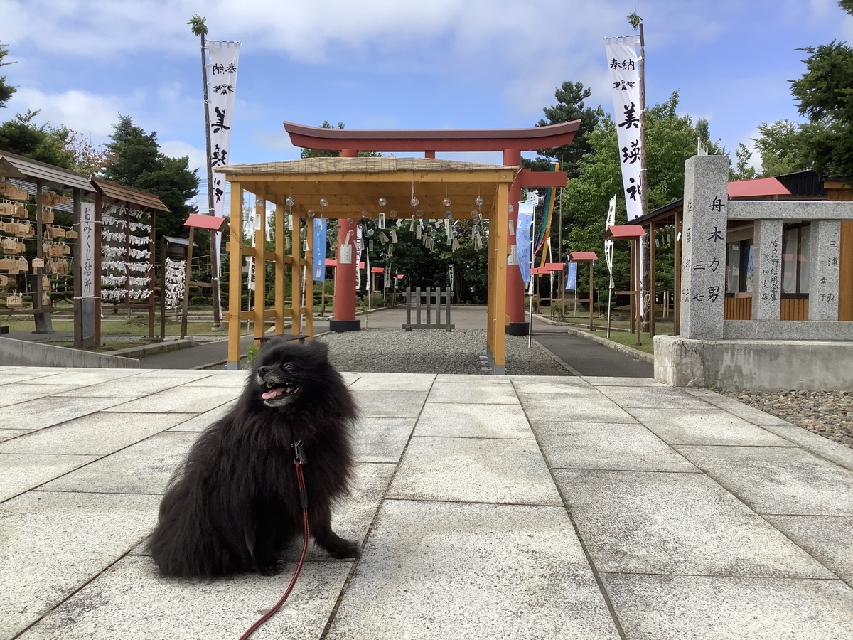 f:id:vwanko:20200803140140j:plain