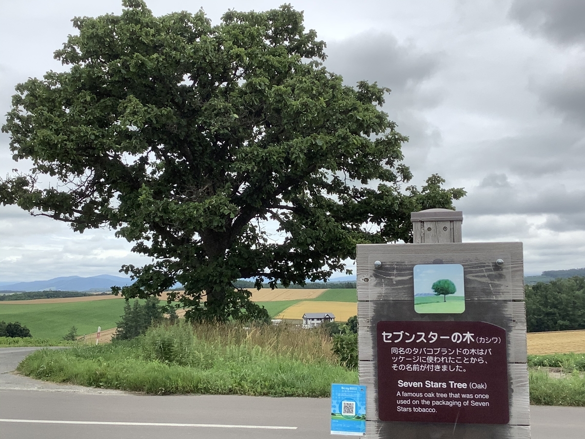 f:id:vwanko:20200803141139j:plain