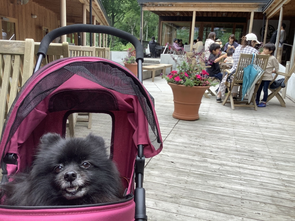 f:id:vwanko:20200803175524j:plain