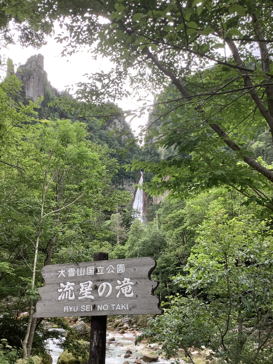 f:id:vwanko:20200803183428j:plain