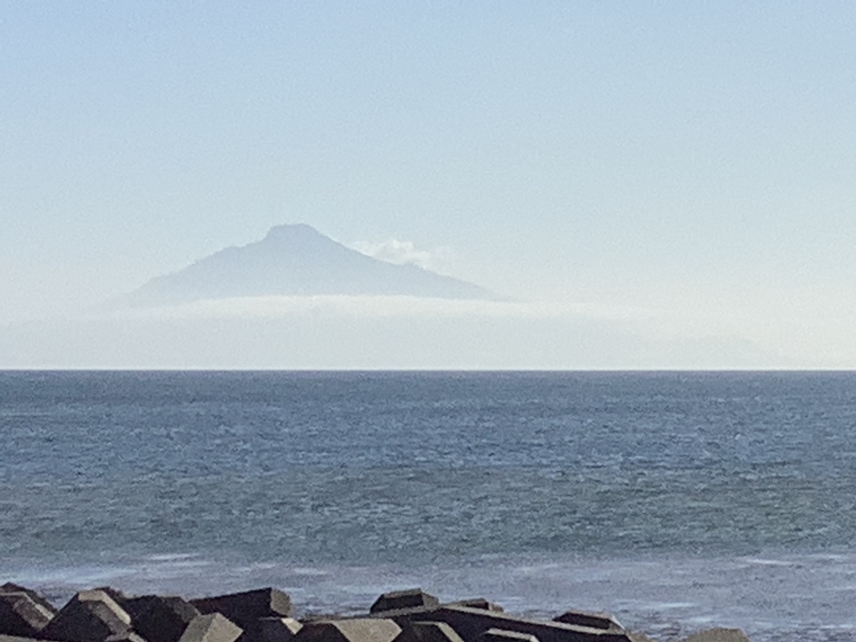 f:id:vwanko:20200804164526j:plain