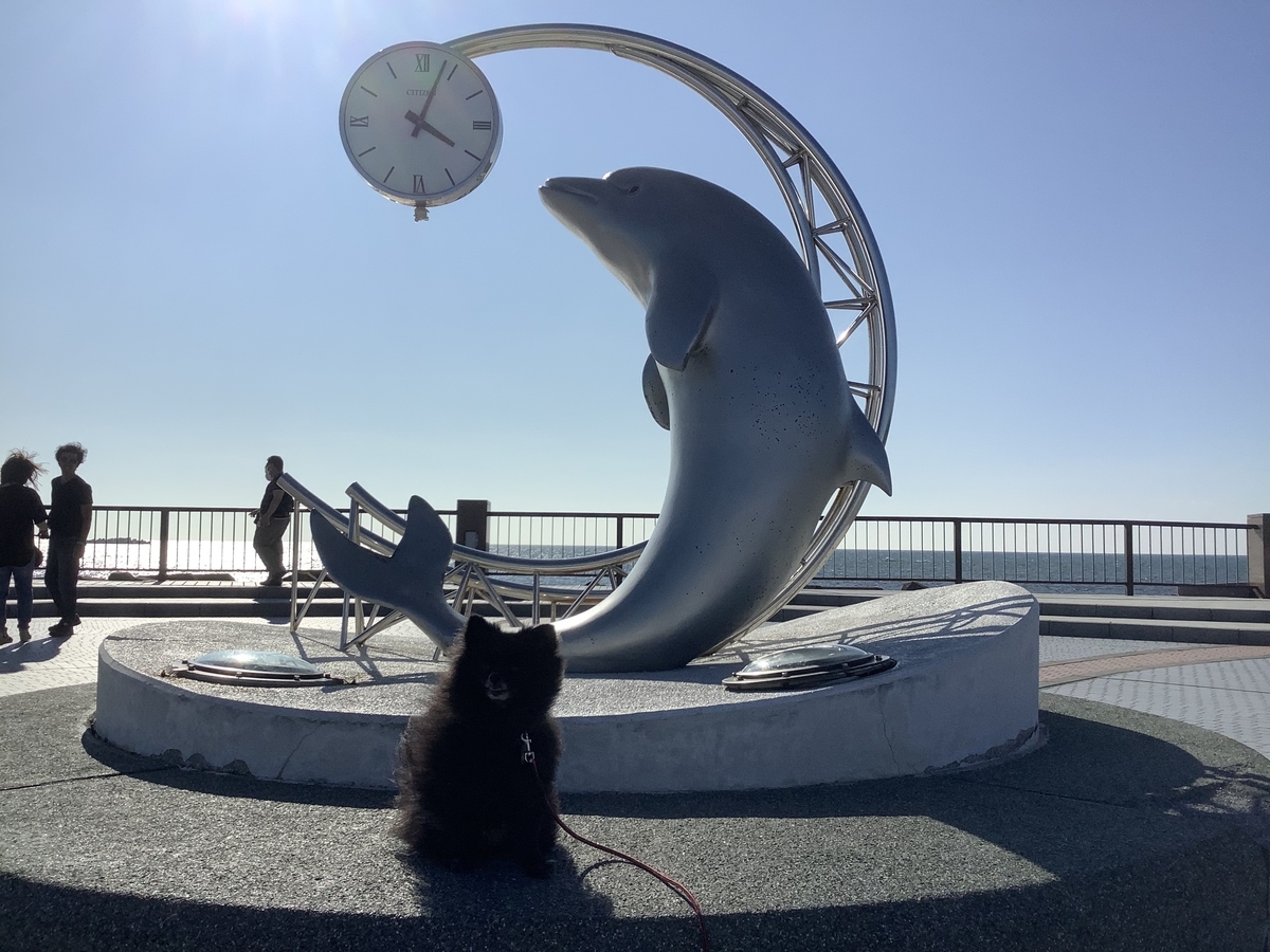 f:id:vwanko:20200804164859j:plain