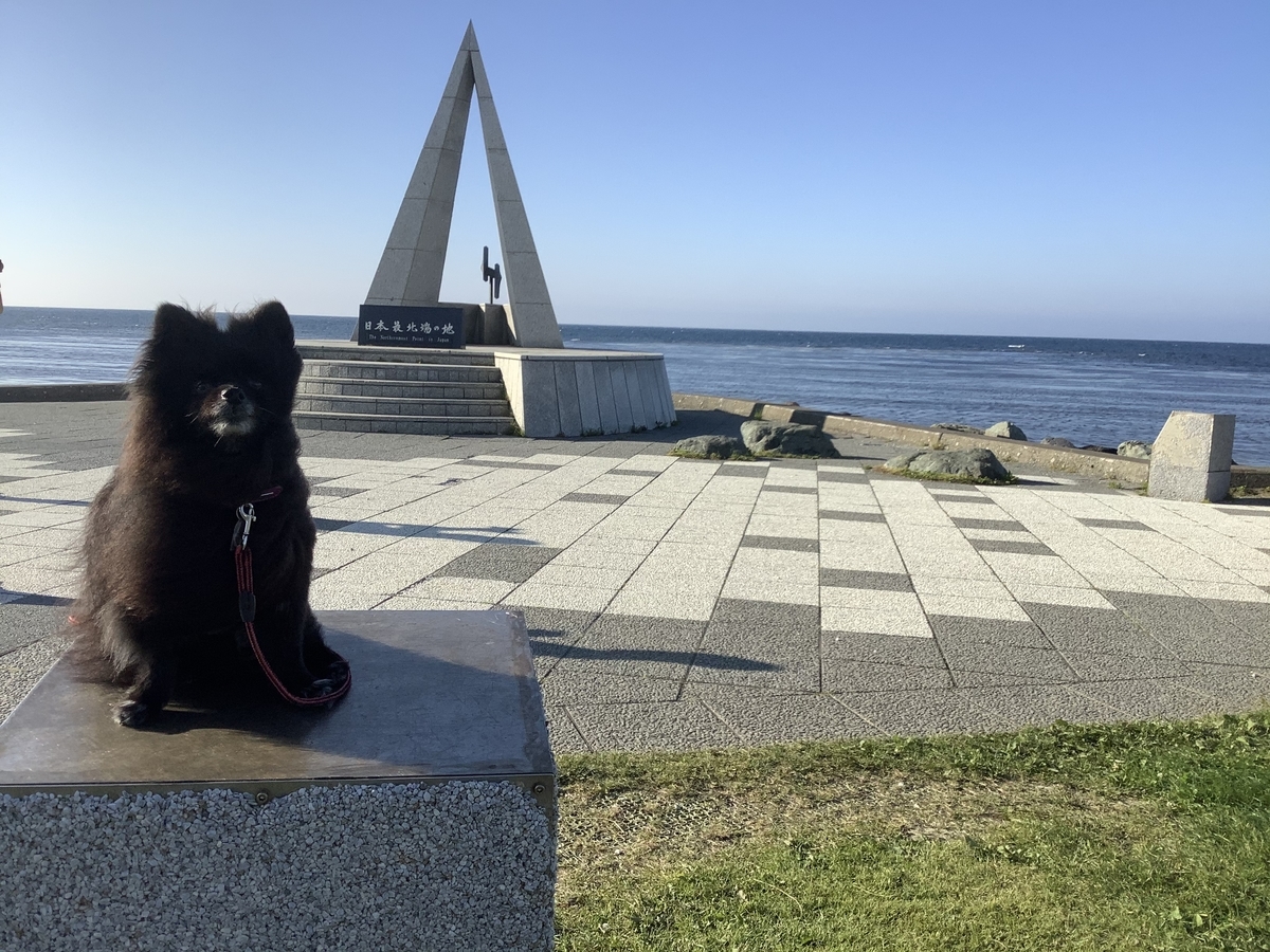 f:id:vwanko:20200804165213j:plain