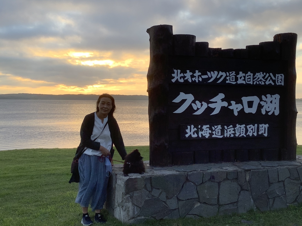 f:id:vwanko:20200805115801j:plain