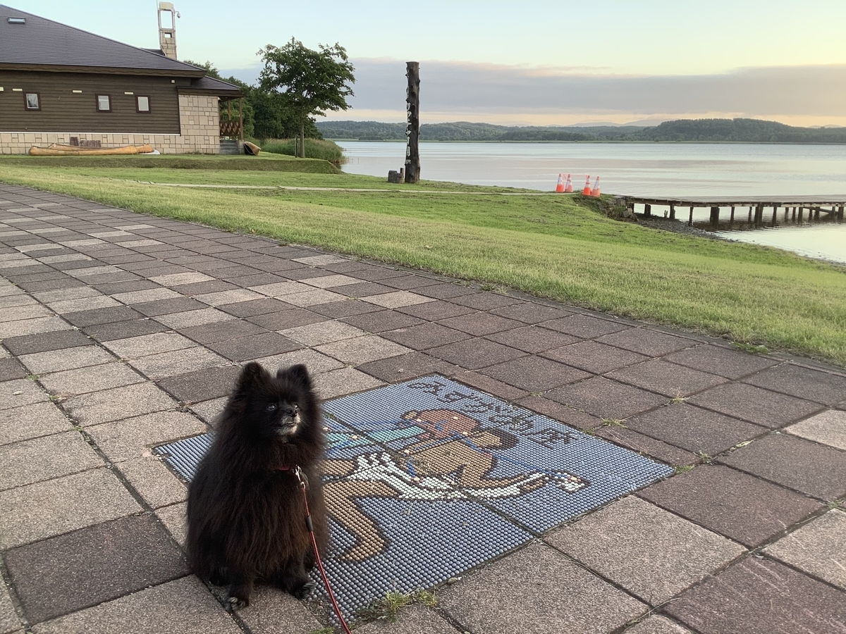 f:id:vwanko:20200805121042j:plain