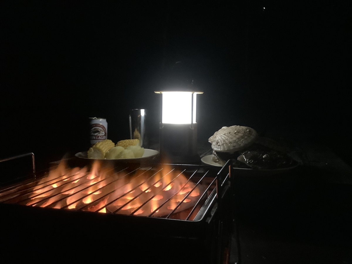 f:id:vwanko:20200805121547j:plain