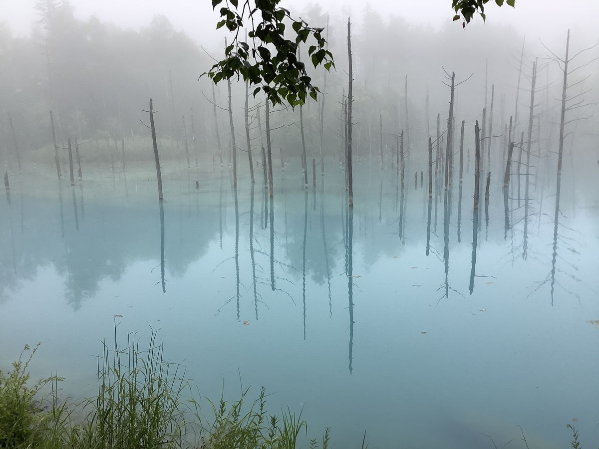 f:id:vwanko:20200805214138j:plain