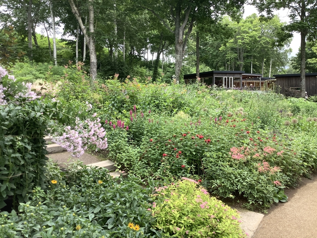 f:id:vwanko:20200805214652j:plain