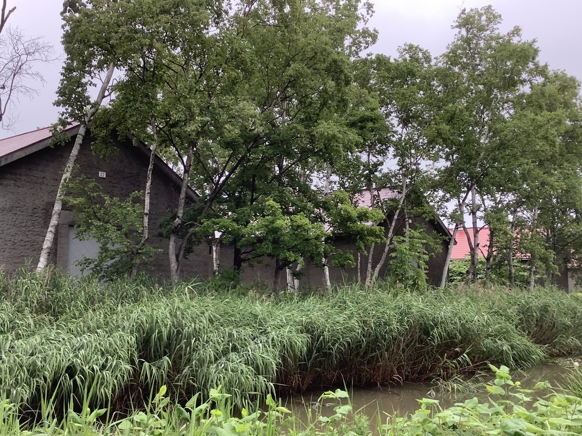 f:id:vwanko:20200806141546j:plain