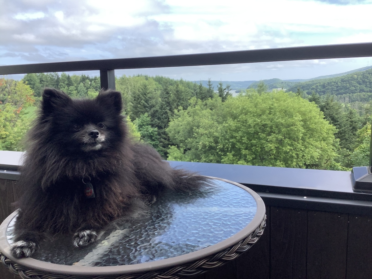 f:id:vwanko:20200806230015j:plain