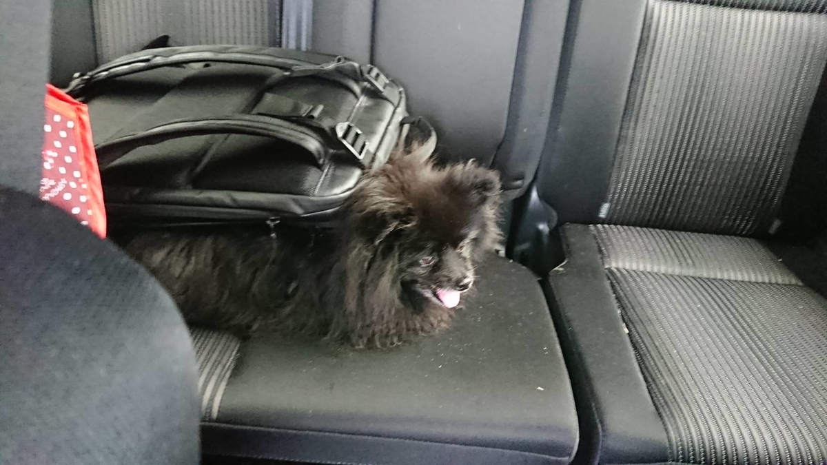 f:id:vwanko:20200810102306j:plain