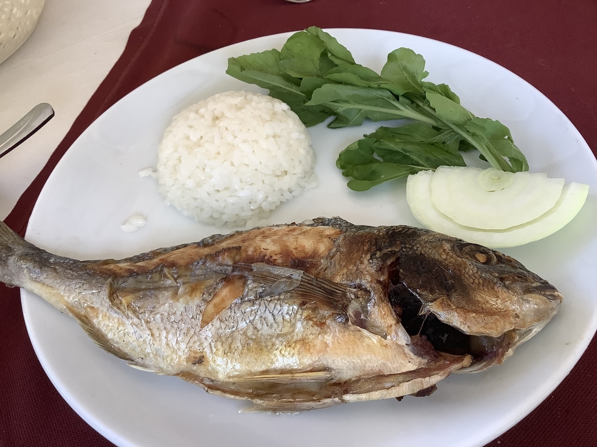 f:id:vwanko:20200828150355j:plain