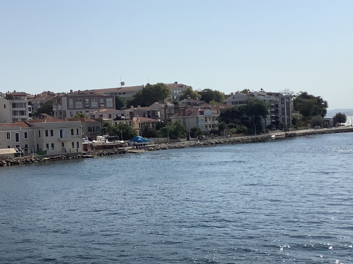 f:id:vwanko:20200829014242j:plain