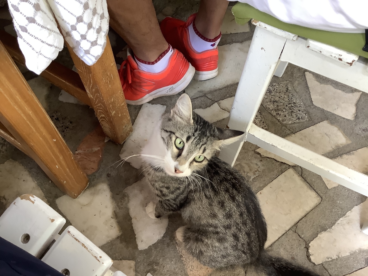 f:id:vwanko:20200830064646j:plain