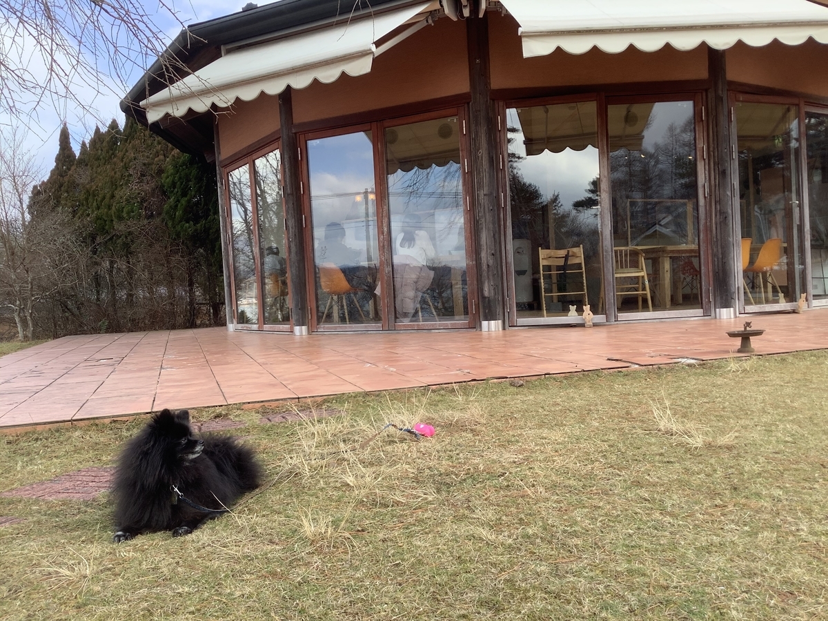 f:id:vwanko:20210107005250j:plain