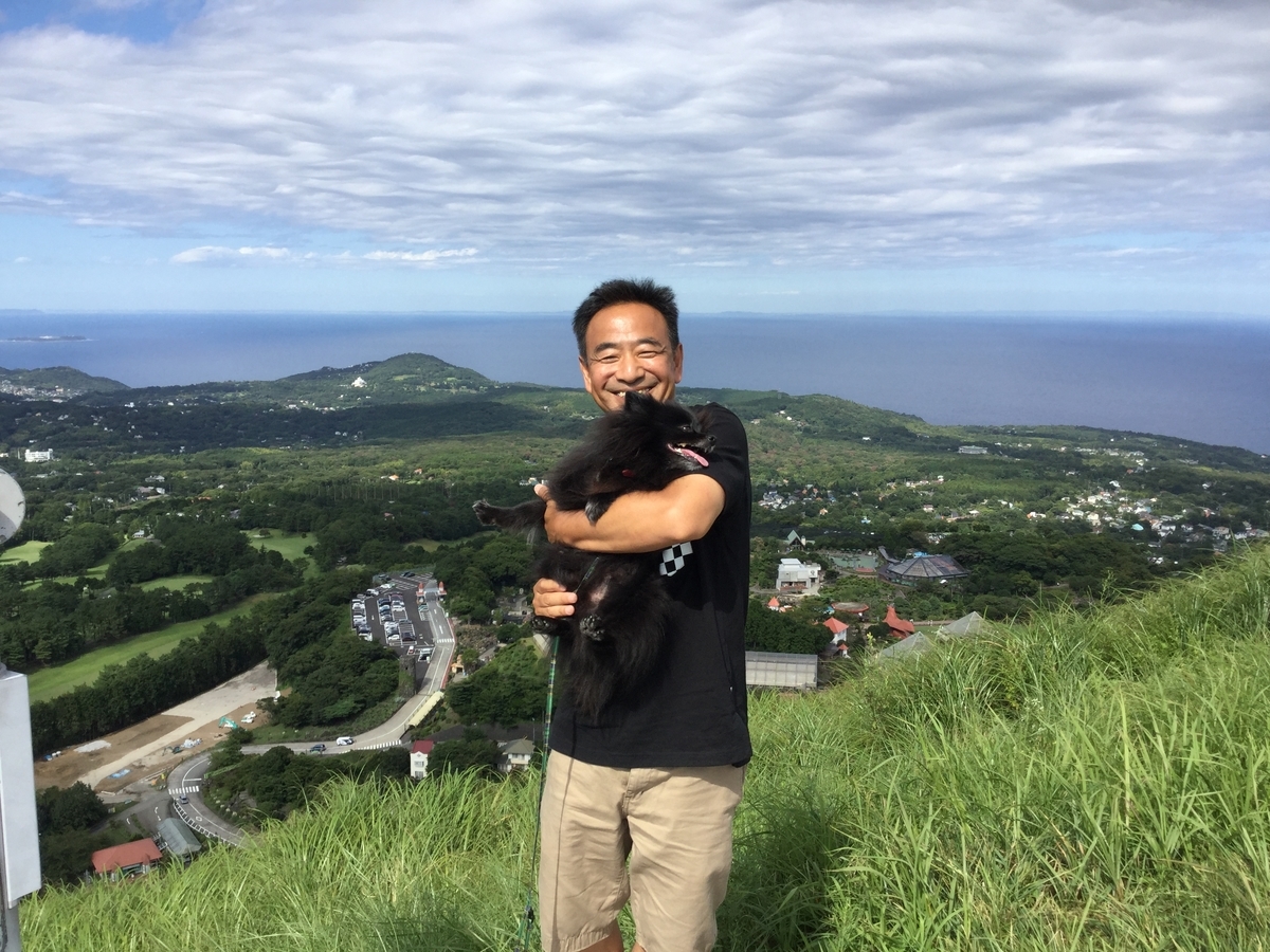 f:id:vwanko:20210706141231j:plain