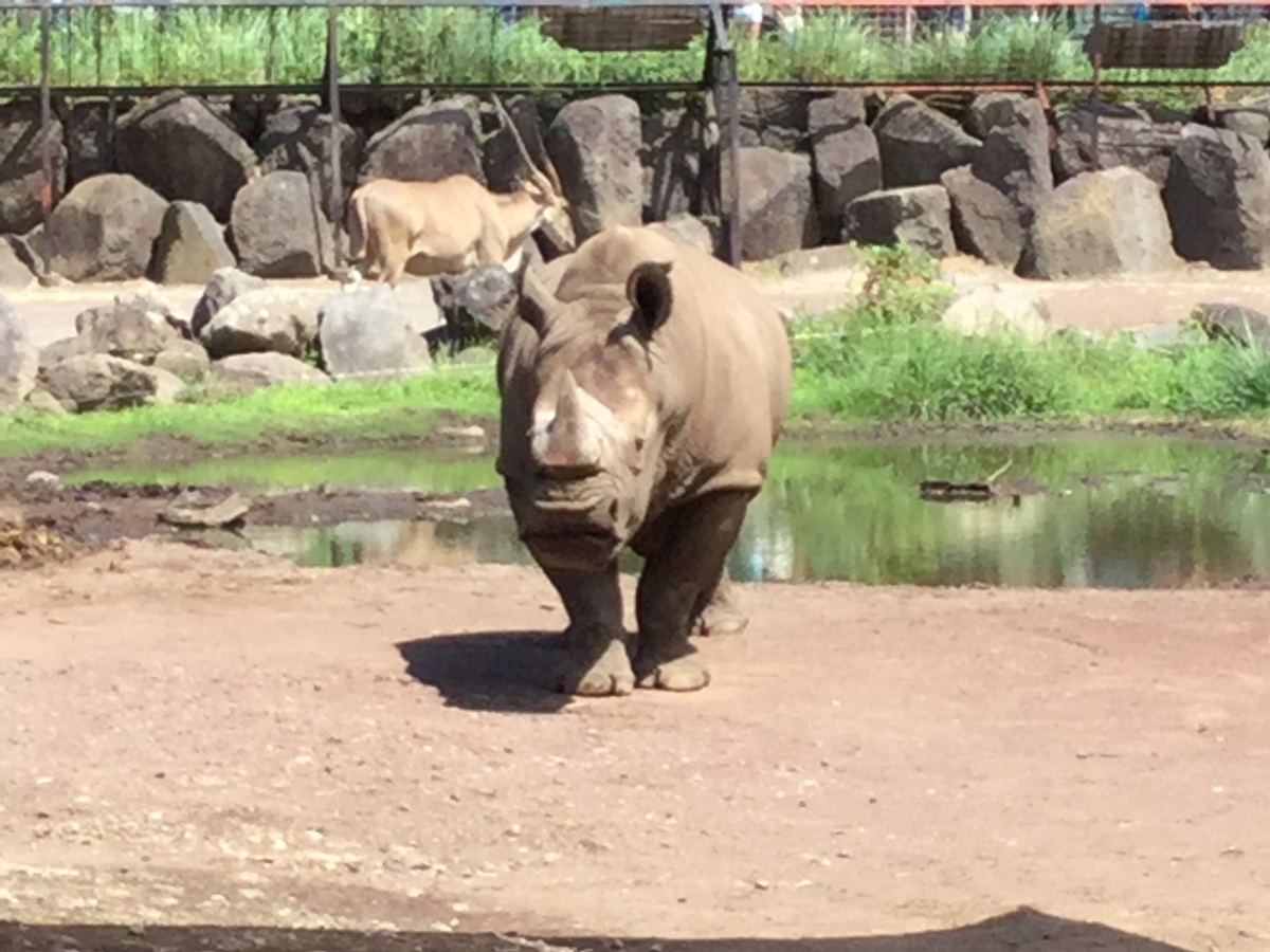 f:id:vwanko:20210706141817j:plain