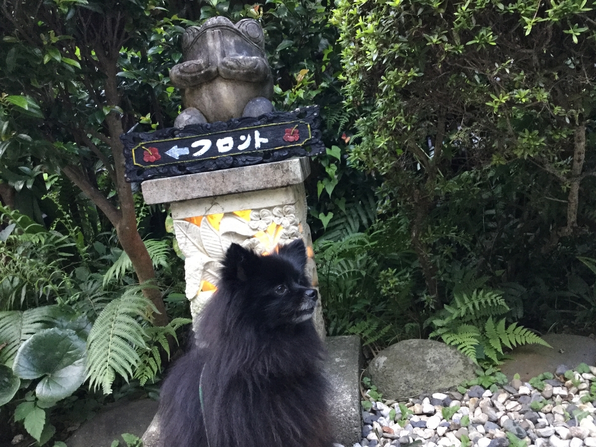 f:id:vwanko:20210706142959j:plain