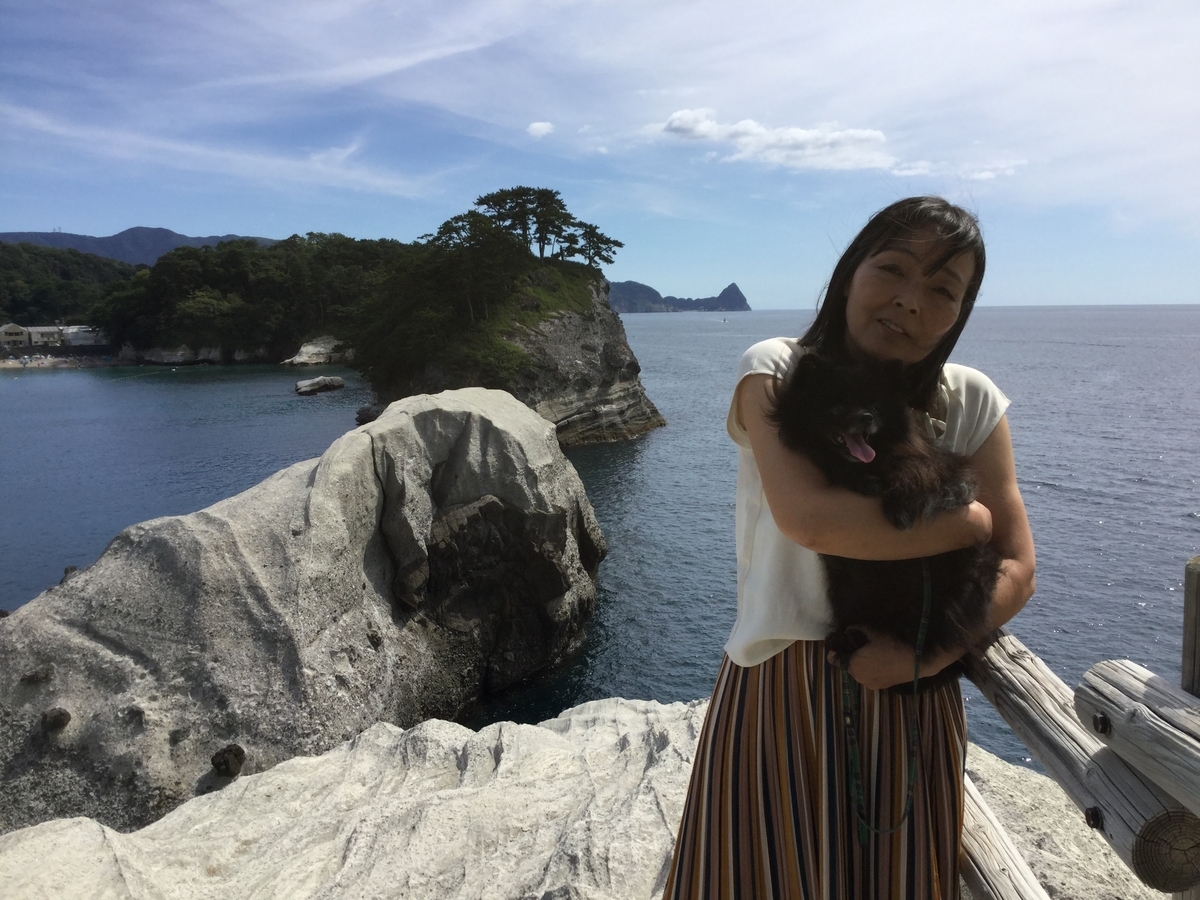 f:id:vwanko:20210706203408j:plain