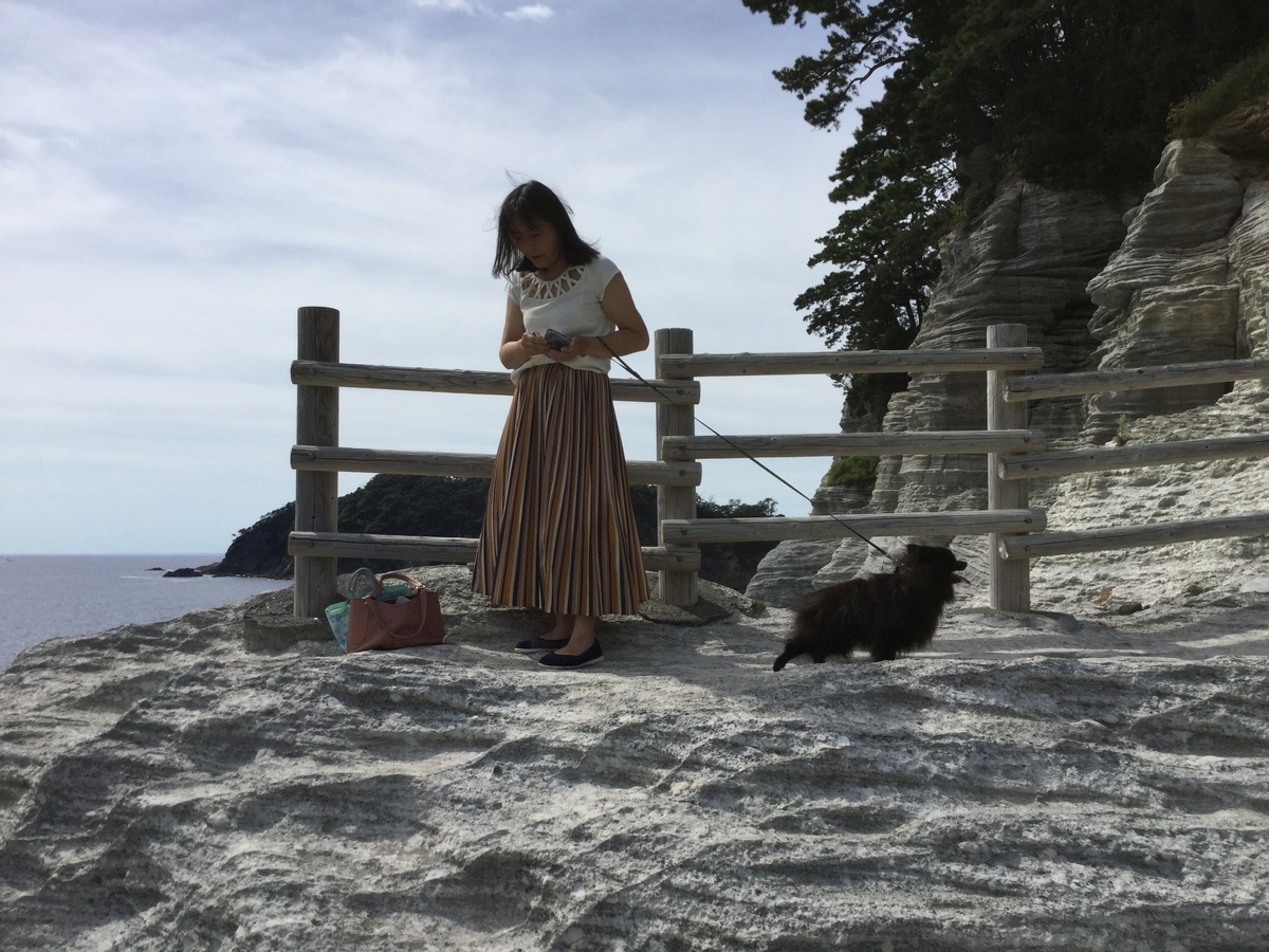 f:id:vwanko:20210706203622j:plain