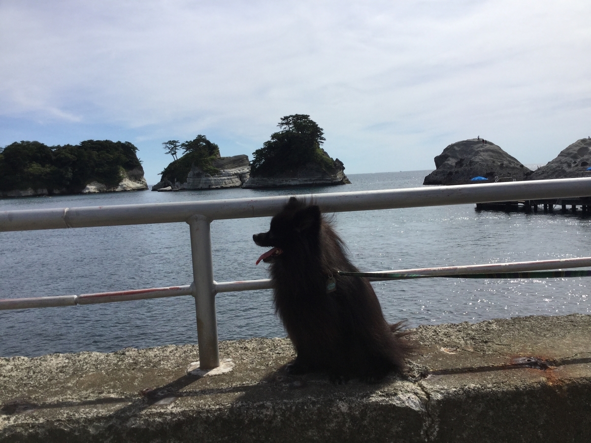 f:id:vwanko:20210706204054j:plain