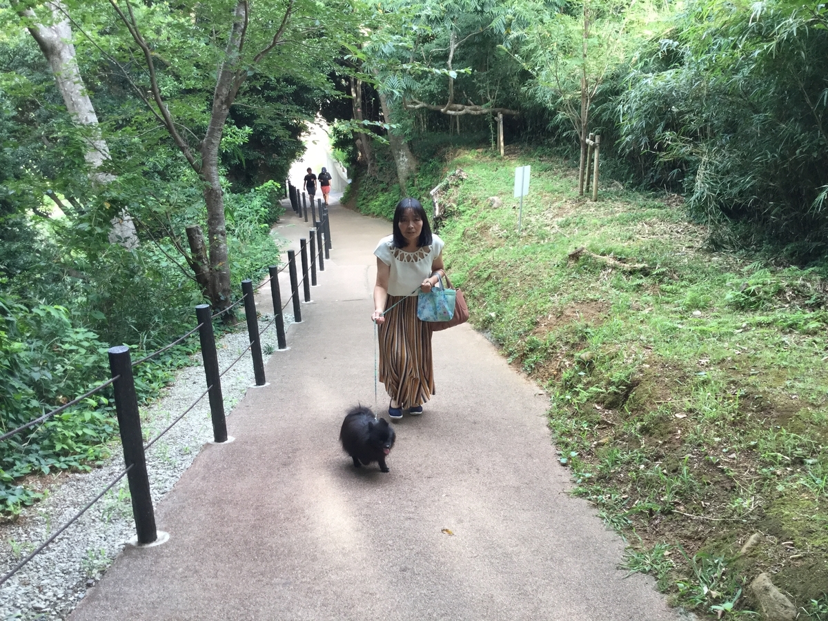 f:id:vwanko:20210706204336j:plain