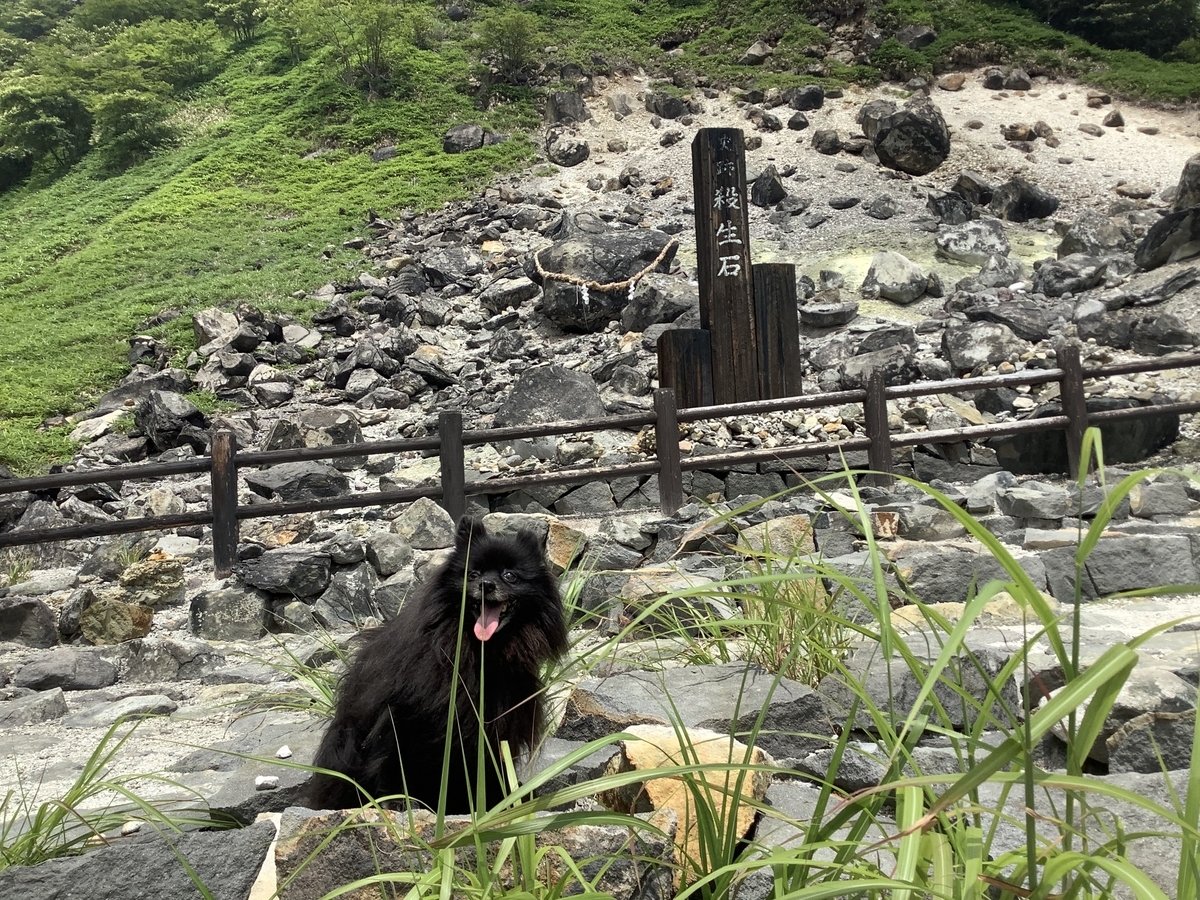 f:id:vwanko:20210731094658j:plain