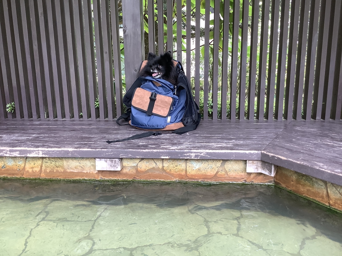 f:id:vwanko:20210731100240j:plain