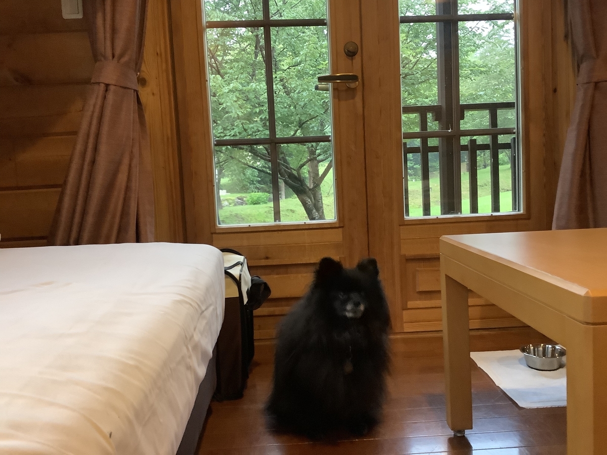 f:id:vwanko:20210731101459j:plain