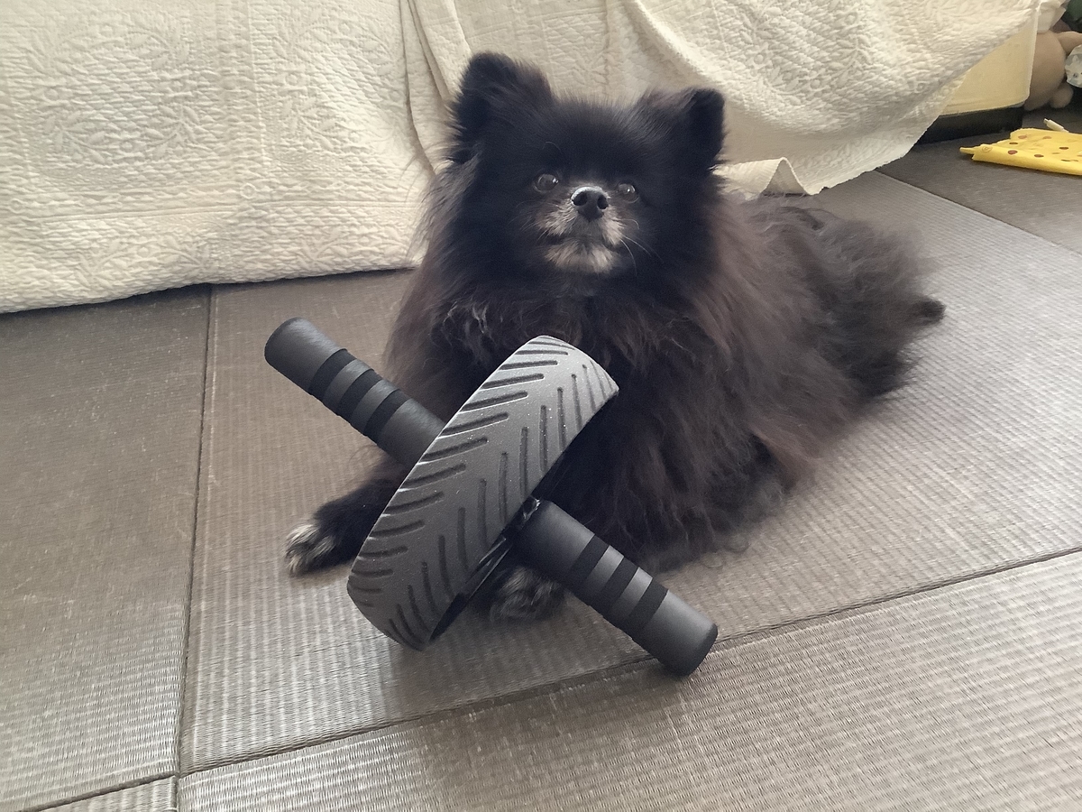 f:id:vwanko:20210829235157j:plain