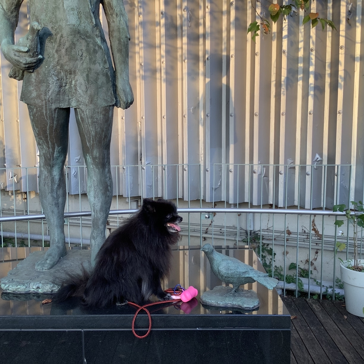 f:id:vwanko:20211008213936j:plain