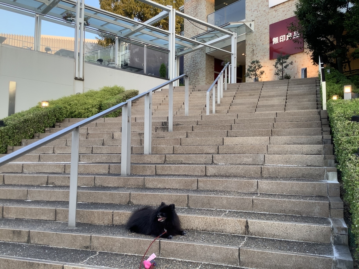 f:id:vwanko:20211008214300j:plain