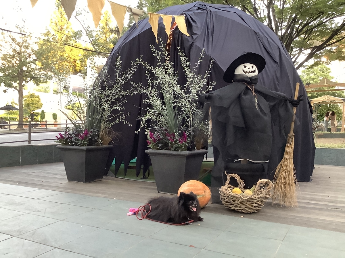 f:id:vwanko:20211008214417j:plain